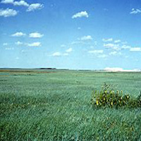 Story Photo
