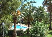 - Tropical plants