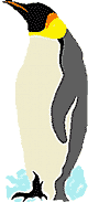 emperor penguin