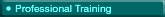 Professional Training