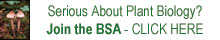 Join the BSA