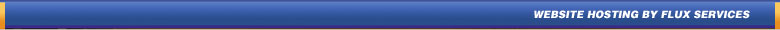 Website Hosting