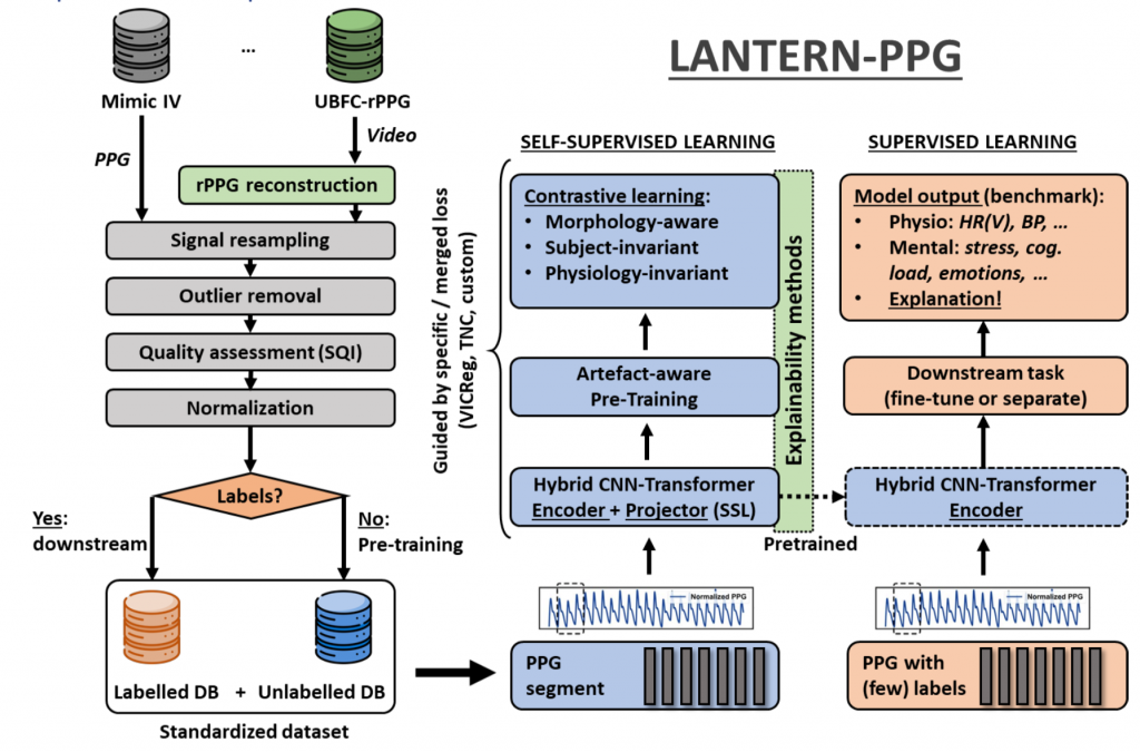 ARIS Postdoc Project